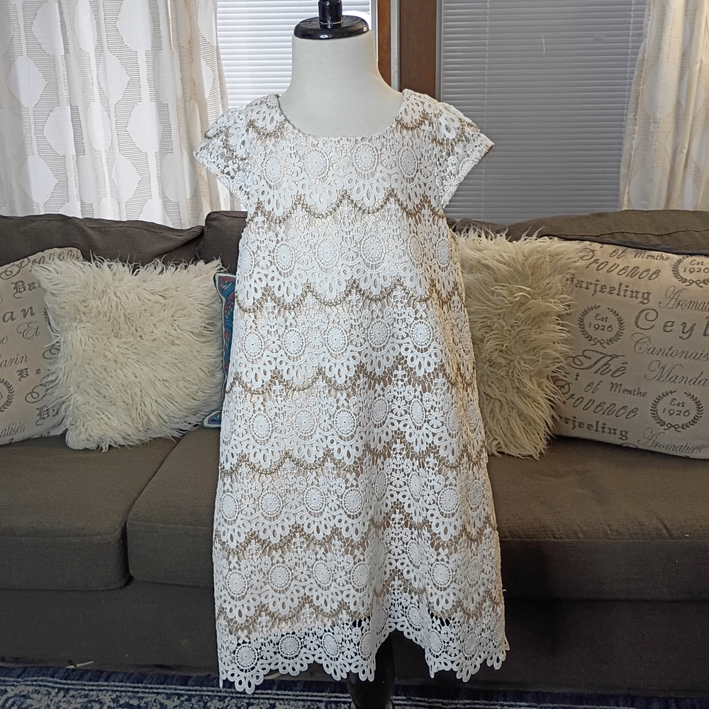 Camilla Girls Elegant Cream And Rose Gold Lace Kids Dress